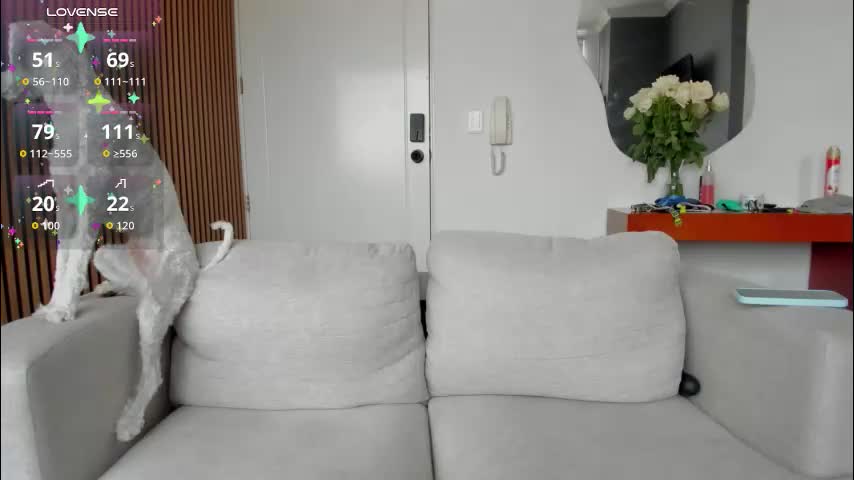 alexiacortez Cam Model Chat November 8, 2025