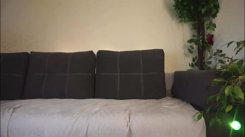 forestproject Cam Model Chat November 8, 2025