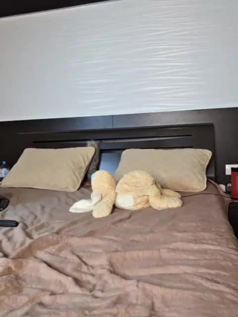 FLUFFY_BEAUTY Cam Model Chat November 9, 2025