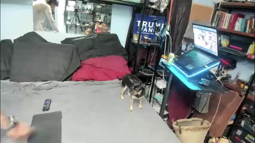 pink_black Cam Model Chat November 9, 2025