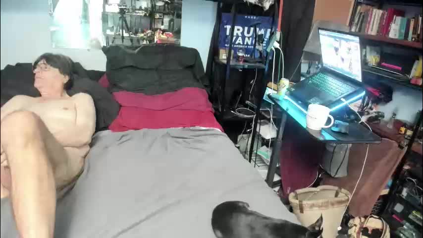 pink_black Cam Model Chat November 9, 2025