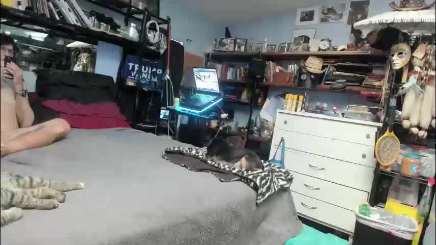 pink_black Cam Model Chat November 9, 2025