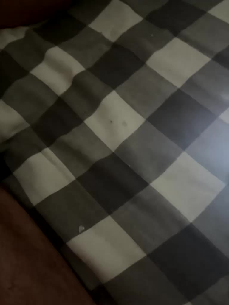 Friends-51 Cam Model Chat November 9, 2025