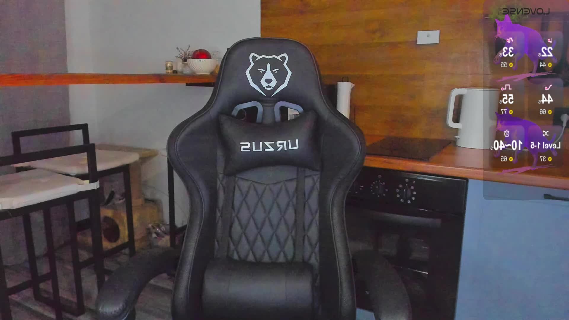 Sunbeam Cam Model Chat November 9, 2025