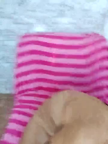 Lina-Luna Cam Model Chat November 10, 2025