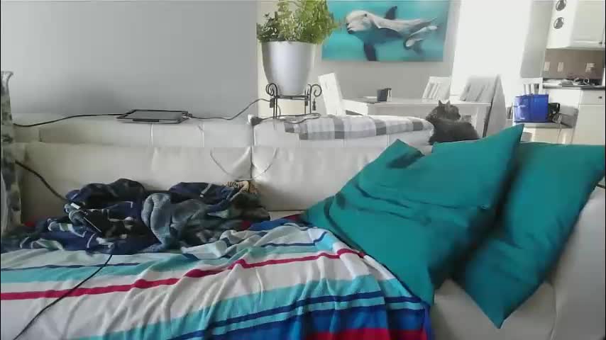 smallpenisbigtongue Cam Model Chat November 10, 2025