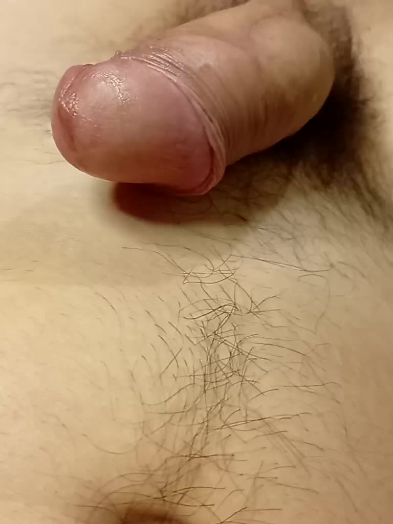 Yna-and-Yn Cam Model Chat November 10, 2025