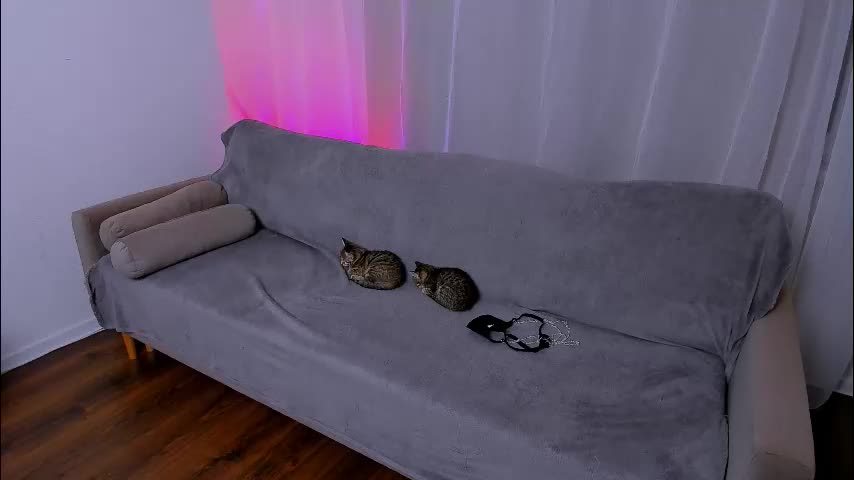 ladytrep Cam Model Chat November 11, 2025