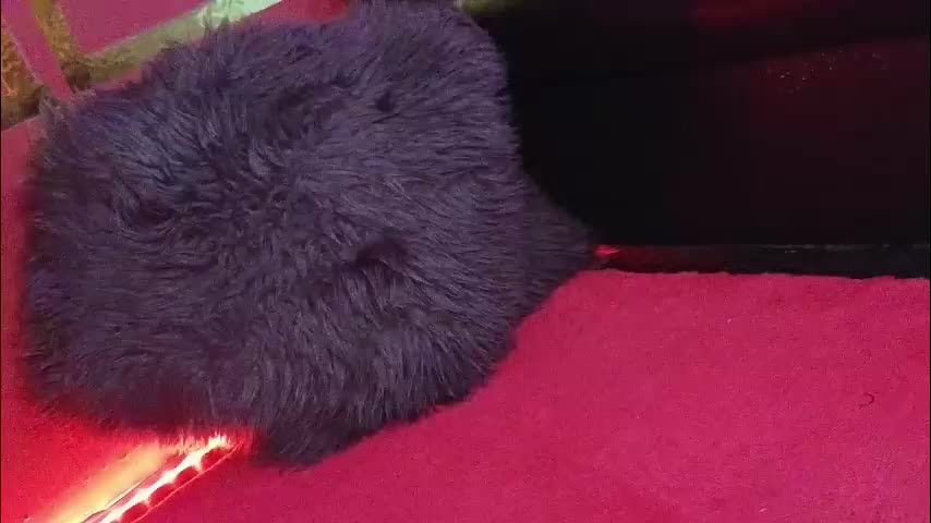 alissa4_ Cam Model Chat November 11, 2025