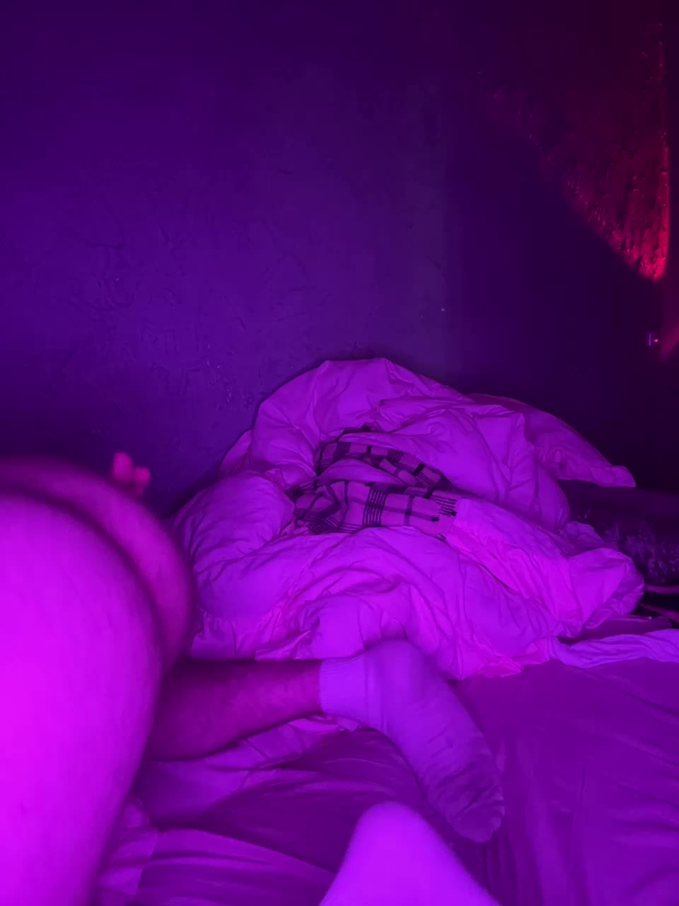 Kotikoshka799 Cam Model Chat November 11, 2025