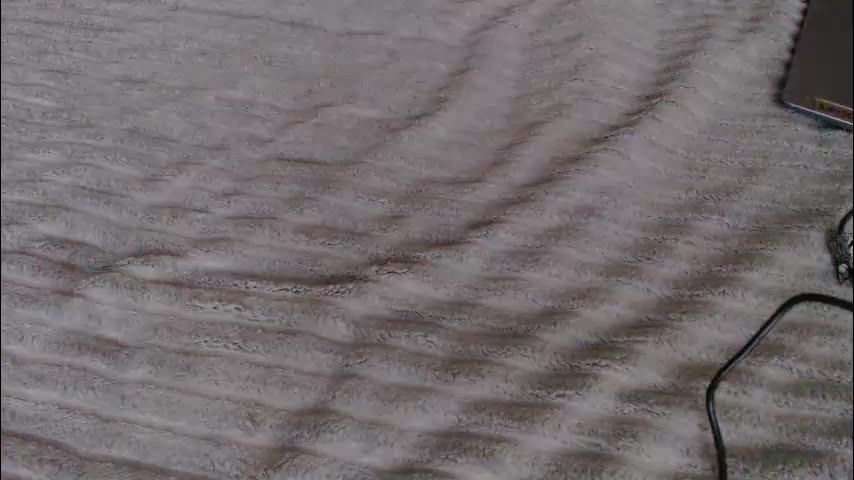 single_fox_4u Cam Model Chat November 11, 2025