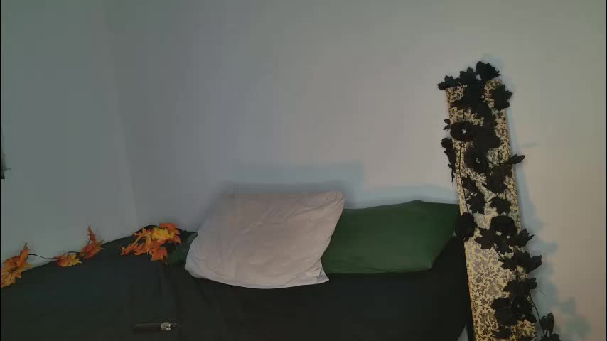 jackdesfeux Cam Model Chat November 11, 2025
