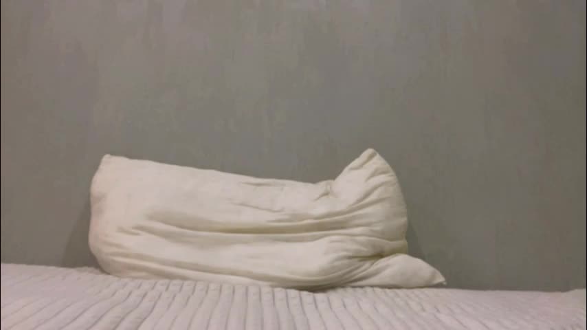 8_altair_8 Cam Model Chat November 11, 2025