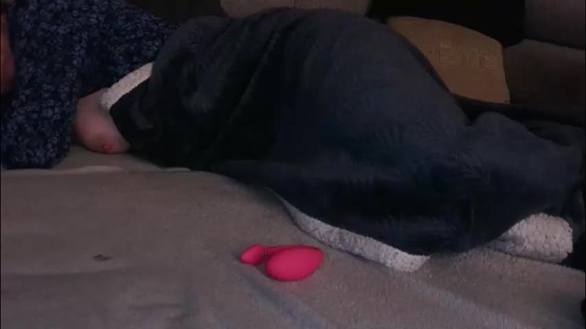 goodtimebfrench Cam Model Chat November 12, 2025