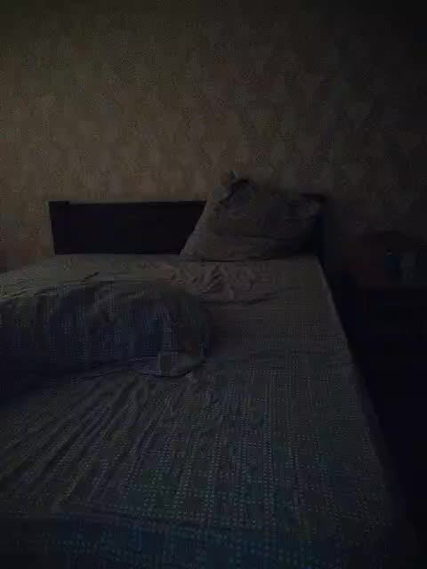 Max_and_Maksin Cam Model Chat November 12, 2025