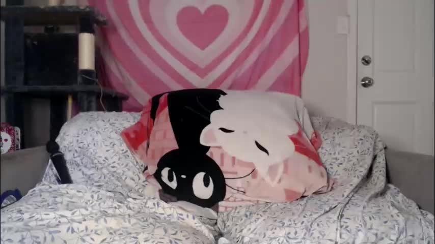 tasteekitty Cam Model Chat November 12, 2025