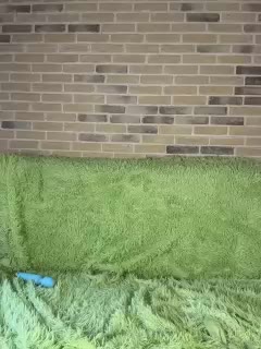 Panther_0888 Cam Model Chat November 12, 2025