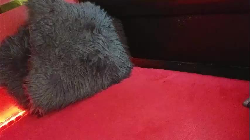 alissa4_ Cam Model Chat November 12, 2025