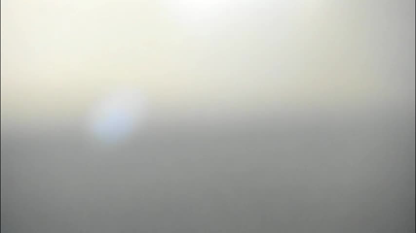 synop_sis Cam Model Chat November 12, 2025