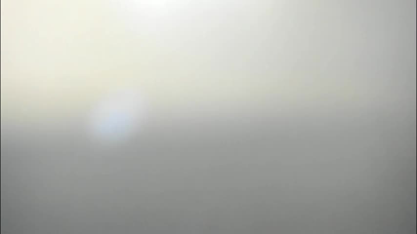 synop_sis Cam Model Chat November 13, 2025