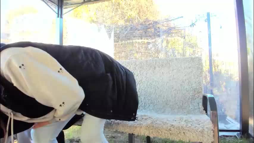 devileanna Cam Model Chat November 13, 2025