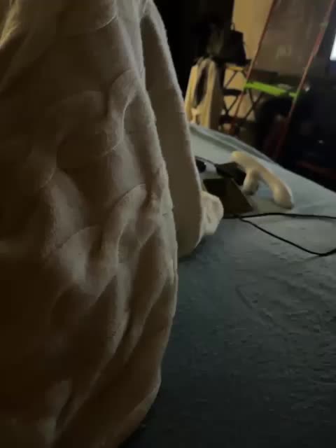 ParraTigroff Cam Model Chat November 14, 2025