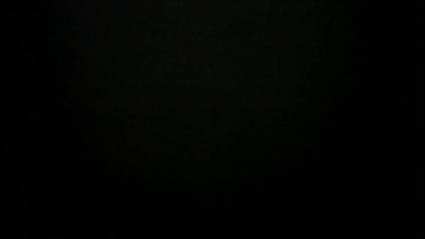 synop_sis Cam Model Chat November 14, 2025