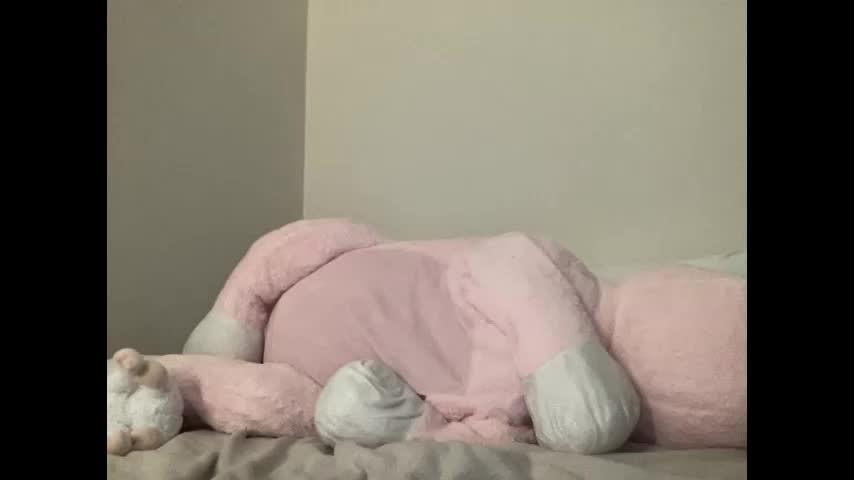 stassiethatsororitygirl Cam Model Chat November 14, 2025