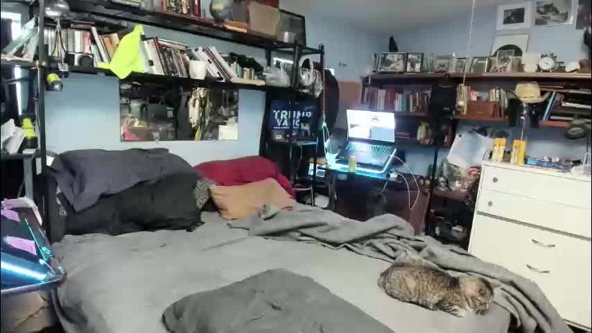 pink_black Cam Model Chat November 14, 2025