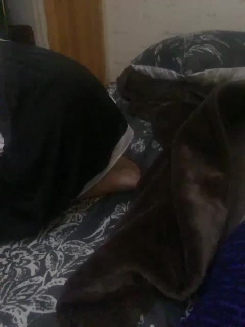 KisasexAlex Cam Model Chat November 15, 2025