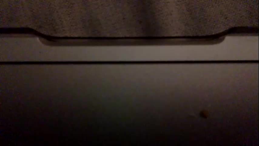 daniellbisous Cam Model Chat November 15, 2025