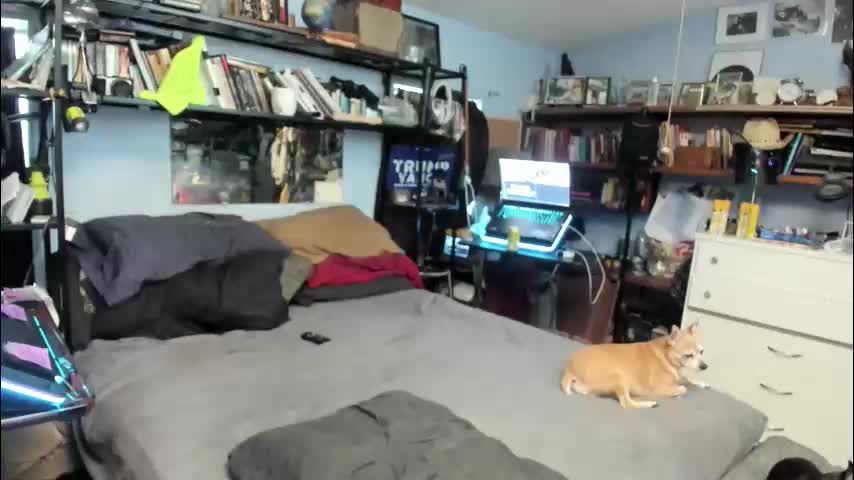 pink_black Cam Model Chat November 15, 2025