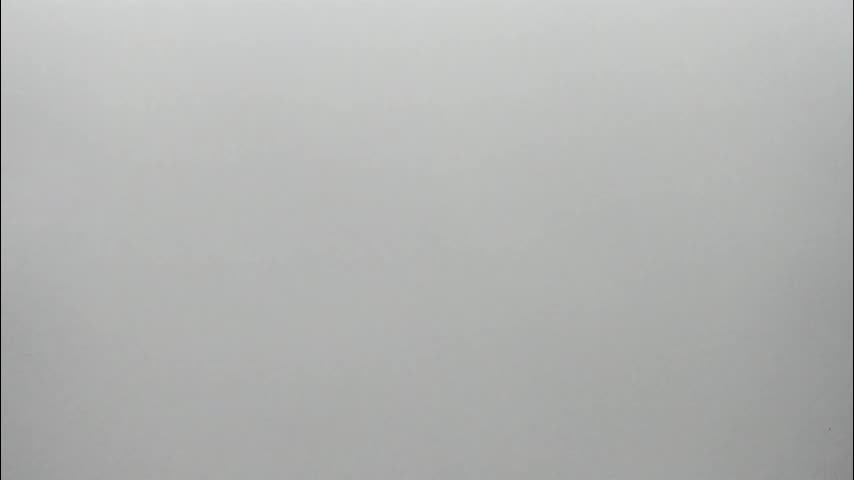 synop_sis Cam Model Chat November 15, 2025