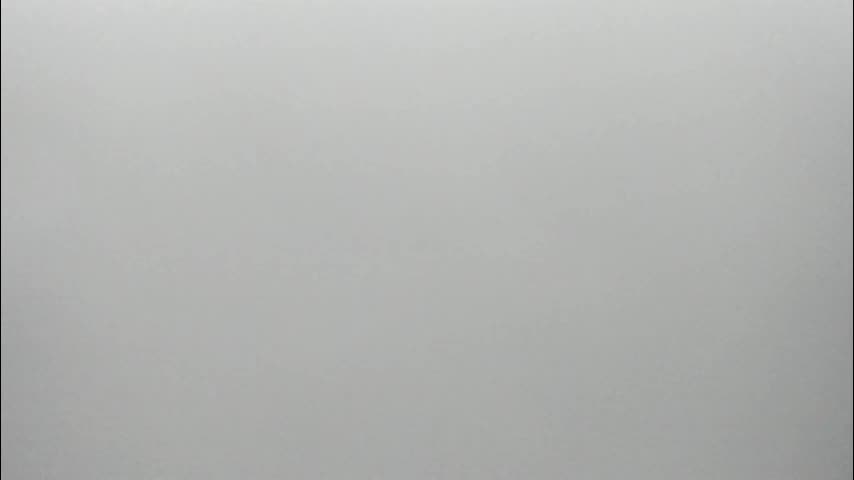 synop_sis Cam Model Chat November 16, 2025