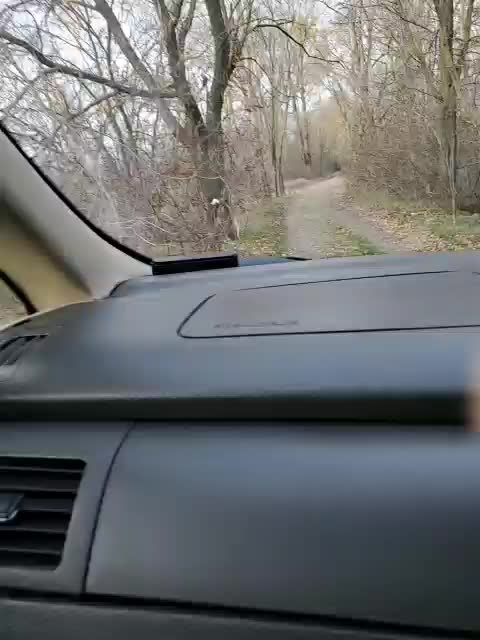 Alex80-201 Cam Model Chat November 16, 2025