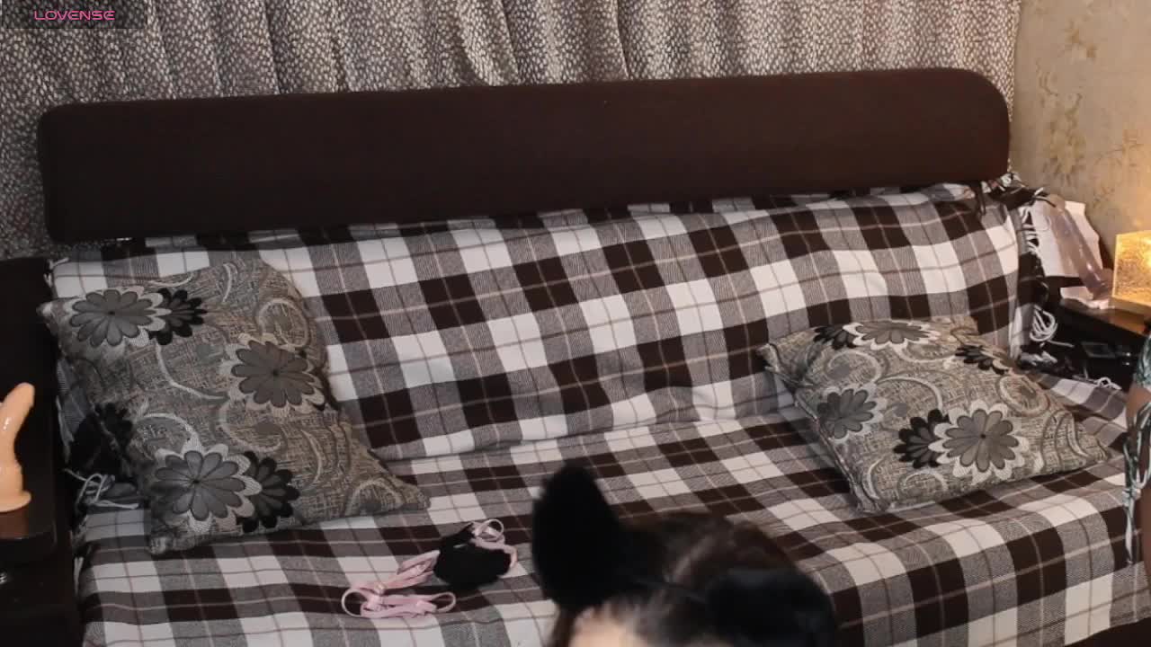 _Sunshine_ Cam Model Chat November 16, 2025