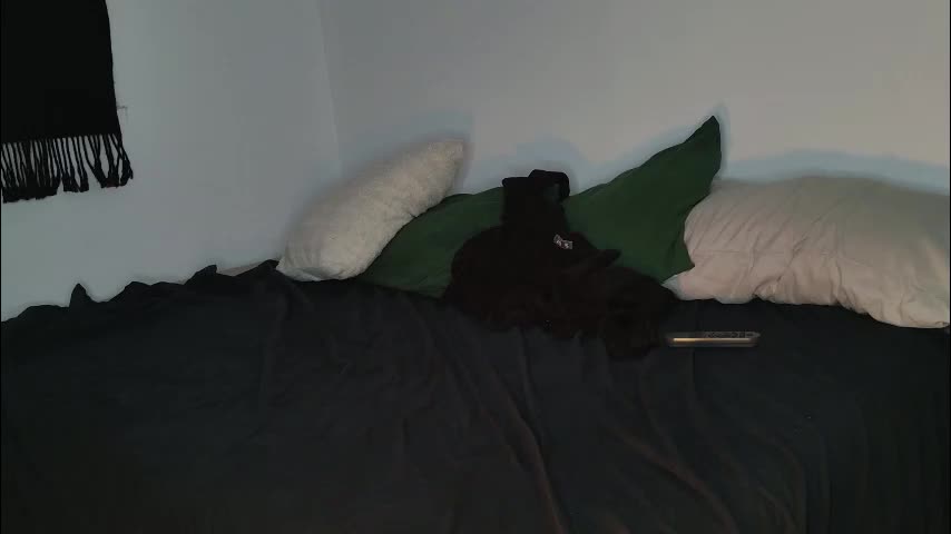 jackdesfeux Cam Model Chat November 17, 2025