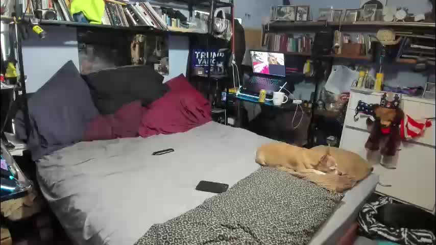 pink_black Cam Model Chat November 17, 2025