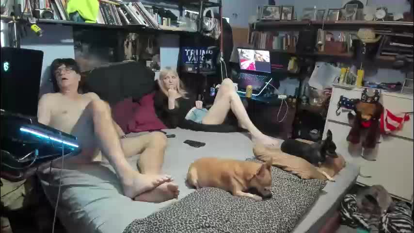 pink_black Cam Model Chat November 17, 2025