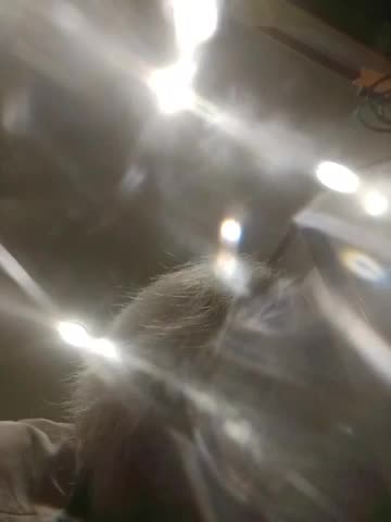 TilyTily Cam Model Chat November 17, 2025