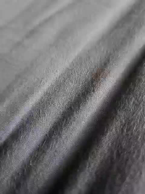 Belladonna-5 Cam Model Chat November 17, 2025