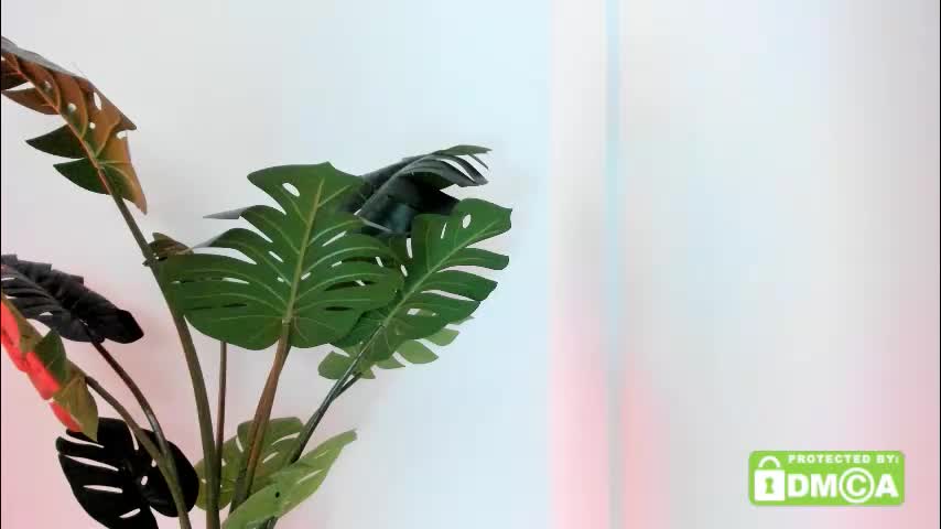 ashllovee_ Cam Model Chat November 17, 2025