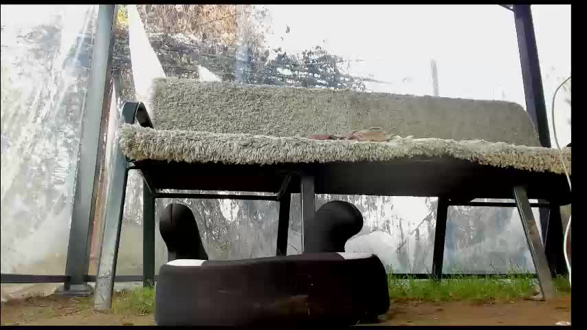 you_love_melisa Cam Model Chat November 17, 2025