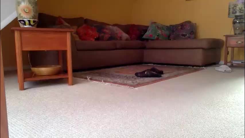 cumonherguys Cam Model Chat November 17, 2025