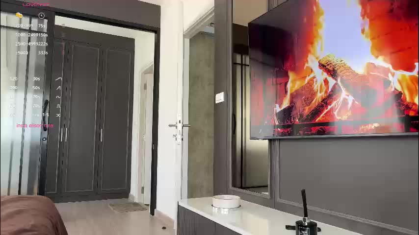 elisonnina Cam Model Chat November 17, 2025