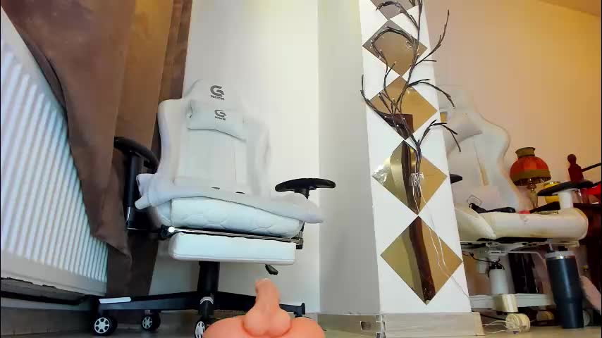 jennywildd Cam Model Chat November 17, 2025