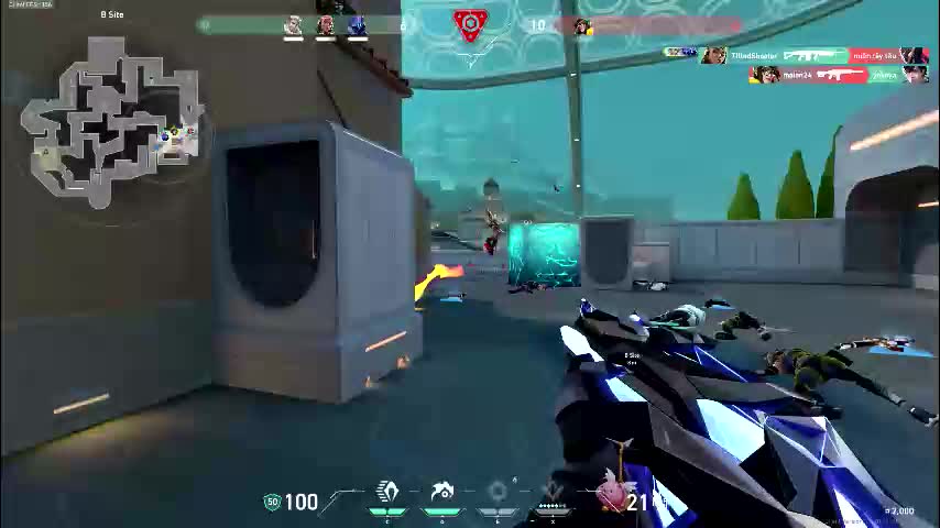 dollybm Cam Model Chat November 18, 2025