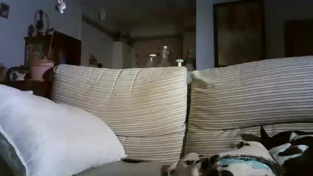 lolahueso Cam Model Chat November 18, 2025