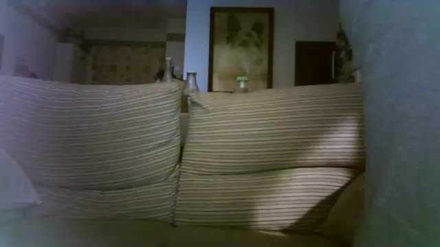 lolahueso Cam Model Chat November 19, 2025