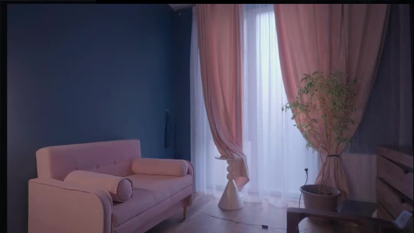 _protea Cam Model Chat November 19, 2025